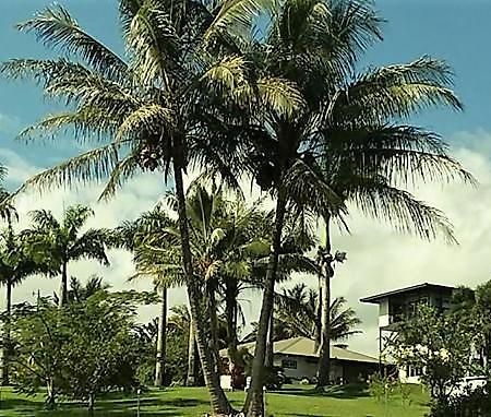 Island Goode'S - Luxury Adult Only Accommodation Near Hilo Papaikou Exterior foto