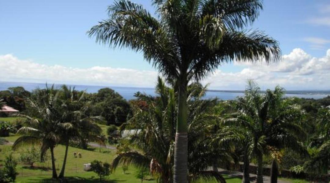 Island Goode'S - Luxury Adult Only Accommodation Near Hilo Papaikou Exterior foto