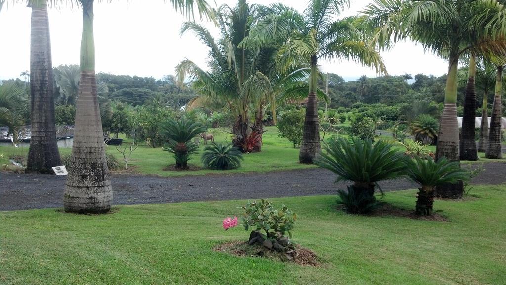 Island Goode'S - Luxury Adult Only Accommodation Near Hilo Papaikou Exterior foto