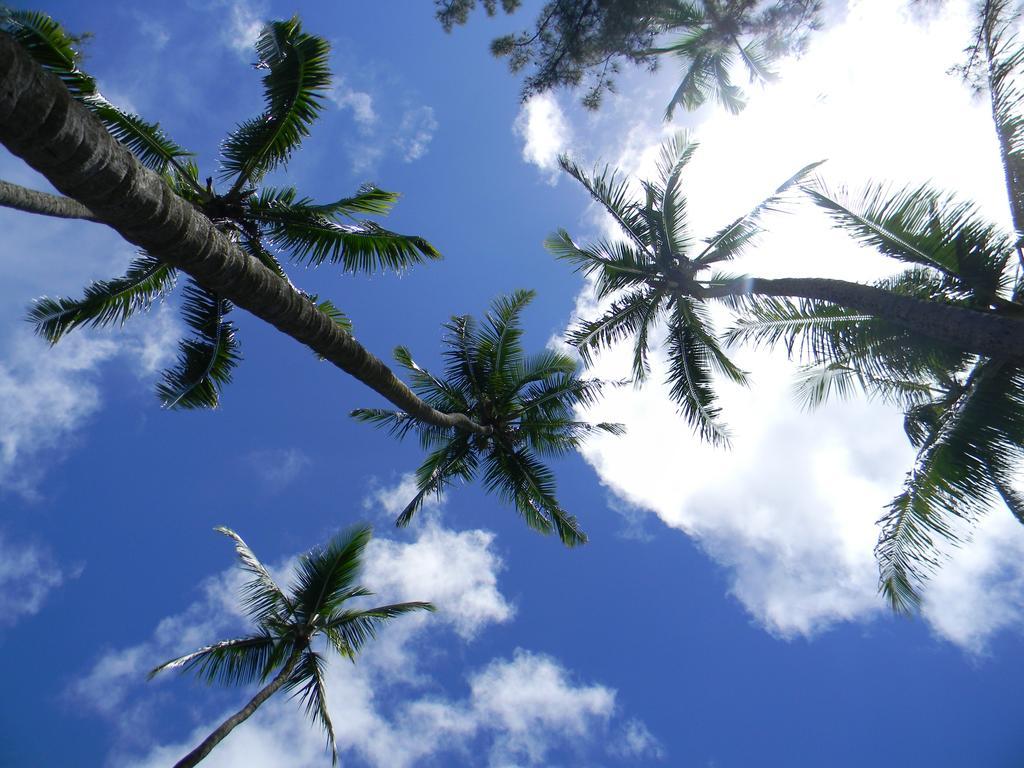 Island Goode'S - Luxury Adult Only Accommodation Near Hilo Papaikou Exterior foto